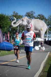 BIB: 
                            <button type="button" onclick="openModal(26542444)" class="btn btn-primary btn-sm float-right btn-popup" data-toggle="modal" data-target=".modal-high-quality">
                        <i class="fas fa-shopping-cart"></i> Add to Cart
                    </button>
                                            <button type="button" onclick="isThisMe(26542444, true)" class="btn btn-success btn-sm float-right btn-popup btn-isme hidden" data-toggle="tooltip" data-placement="bottom" title="นี่คือรูปของคุณใช่ไหม คลิกที่นี่เพื่อเอาเข้าอัลบั้ม">
                        <i class="fas fa-plus"></i> Add to album
                    </button>
                    <button type="button" onclick="isThisMe(26542444, false)" class="btn btn-warning btn-sm float-right btn-popup btn-isnotme hidden">
                        <i class="fas fa-ban"></i> Remove from album
                    </button>